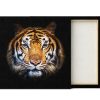 Cuadro Canvas Real Tigre - Imagen 3