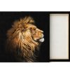 Cuadro Canvas Perfil León Real - Imagen 3