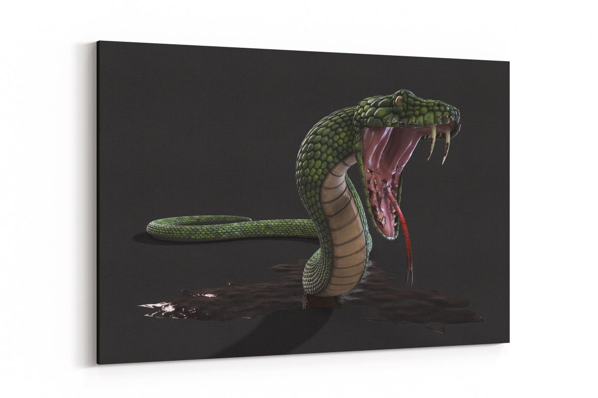 Cuadro Serpiente 1151676383 Scene