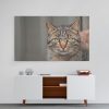 Cuadro Gato Gris1222044724 Scene - Imagen 3