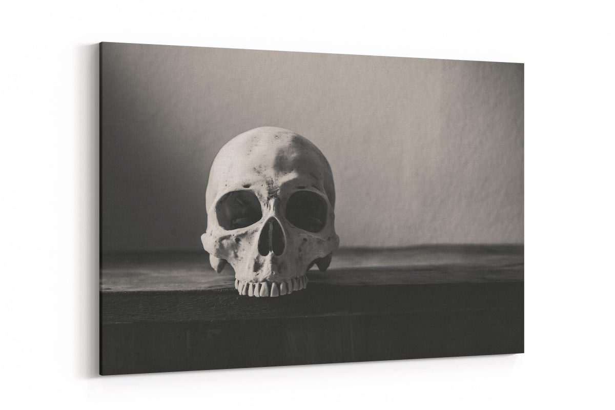 Cuadro Calavera Blanco y Negro Scene