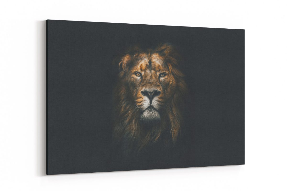 Cuadro León Scene