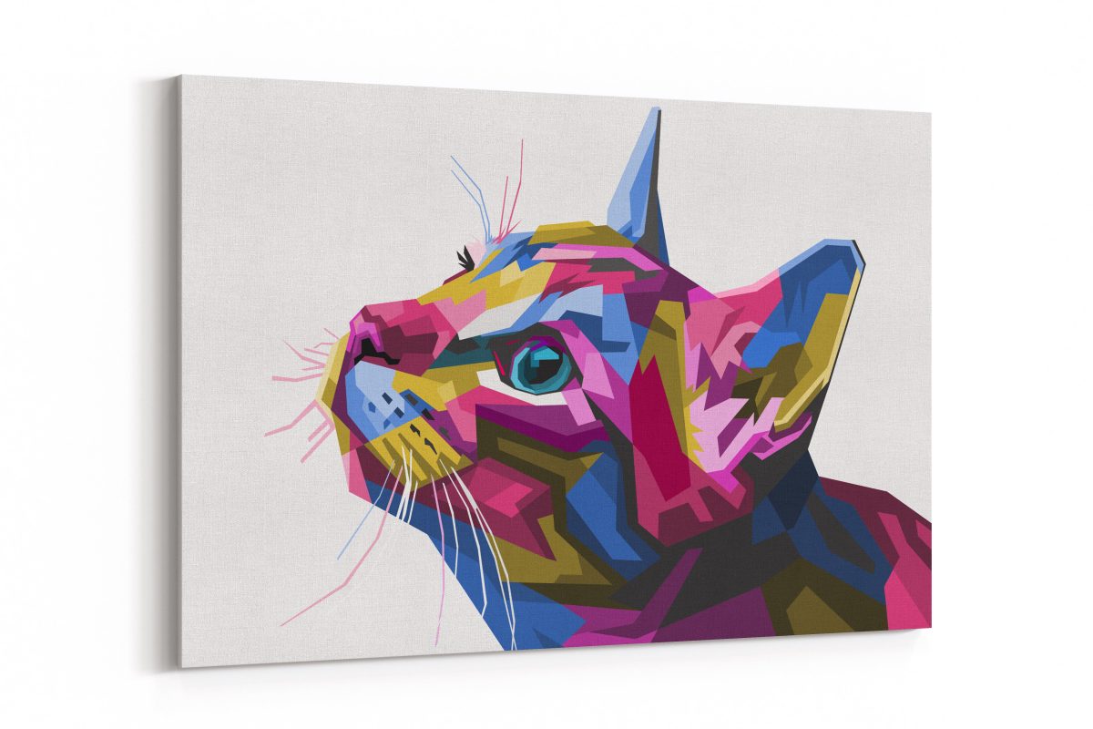 Cuadro Gato Colores Scene