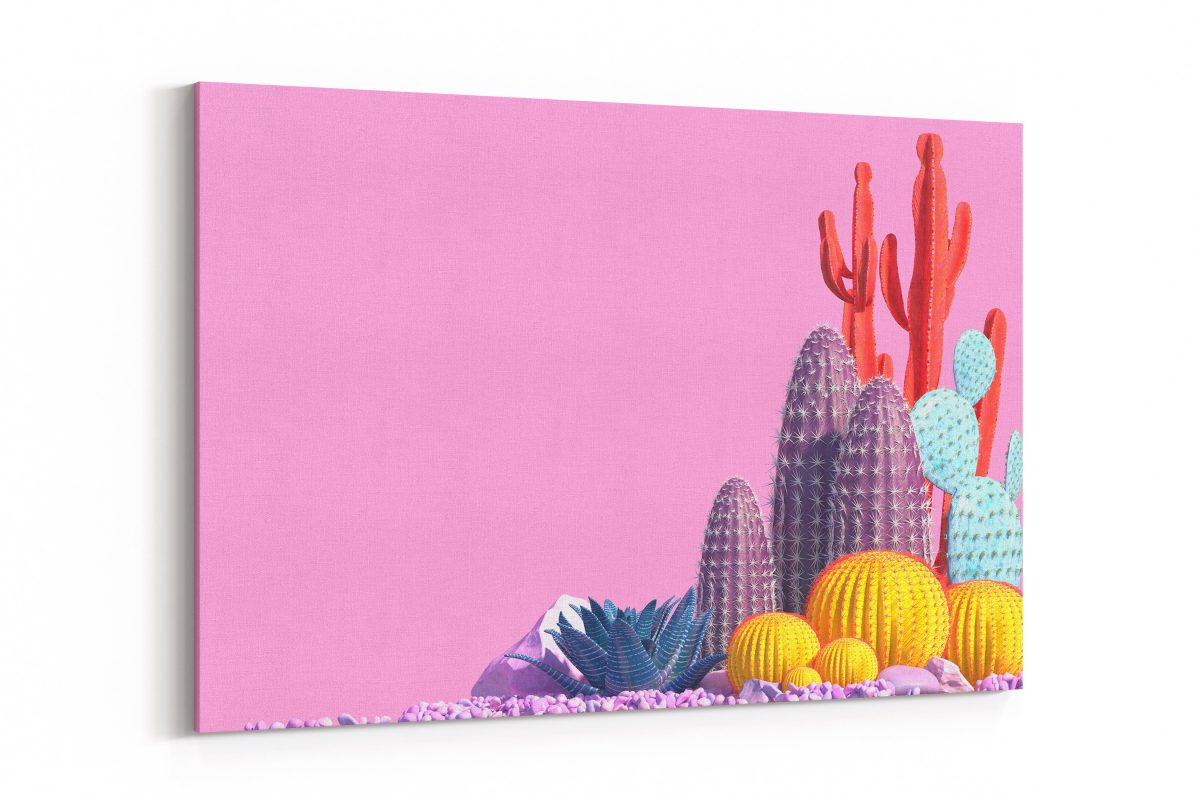 Cuadro Cactus Rosa Scene